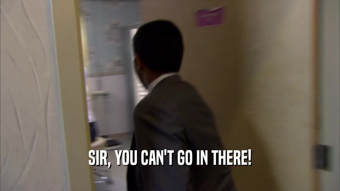 SIR, YOU CAN'T GO IN THERE!  