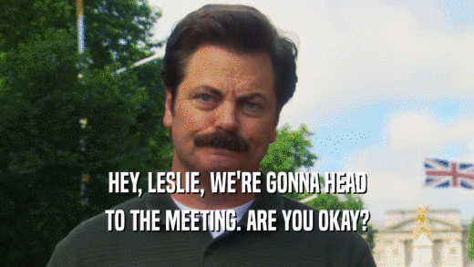 HEY, LESLIE, WE'RE GONNA HEAD TO THE MEETING. ARE YOU OKAY? 