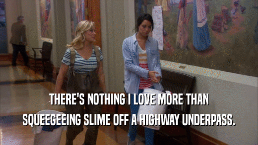 THERE'S NOTHING I LOVE MORE THAN SQUEEGEEING SLIME OFF A HIGHWAY UNDERPASS. 