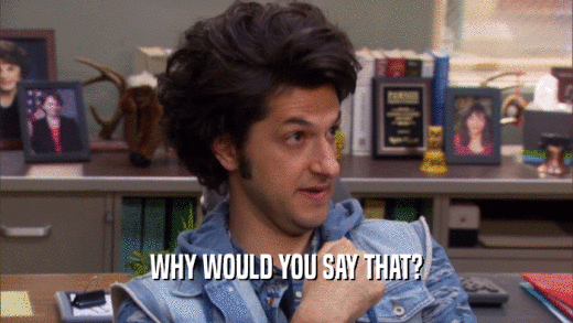 WHY WOULD YOU SAY THAT?  