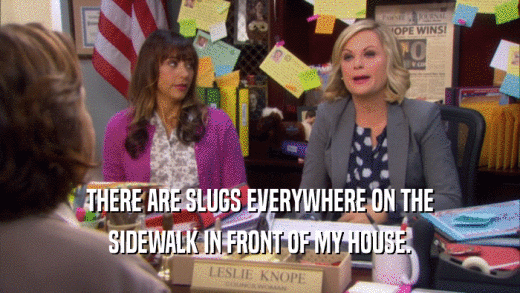 THERE ARE SLUGS EVERYWHERE ON THE SIDEWALK IN FRONT OF MY HOUSE. 