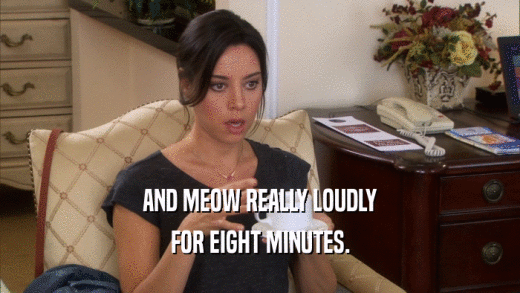 AND MEOW REALLY LOUDLY FOR EIGHT MINUTES. 