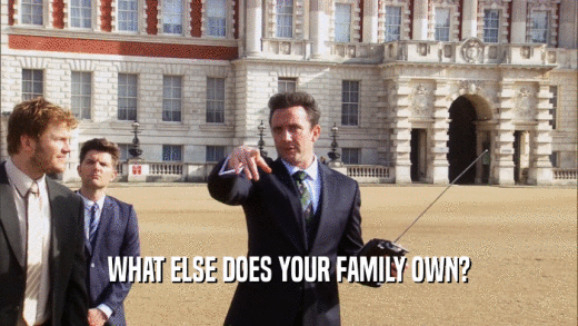 WHAT ELSE DOES YOUR FAMILY OWN?  