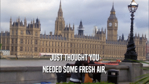 JUST THOUGHT YOU NEEDED SOME FRESH AIR, 