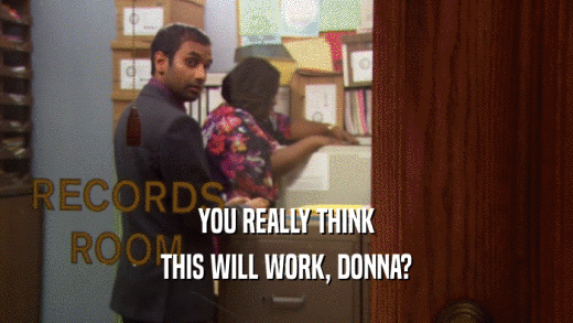 YOU REALLY THINK THIS WILL WORK, DONNA? 