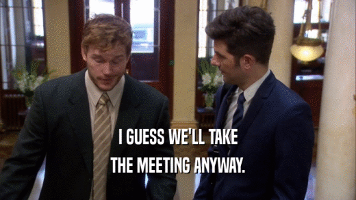 I GUESS WE'LL TAKE THE MEETING ANYWAY. 