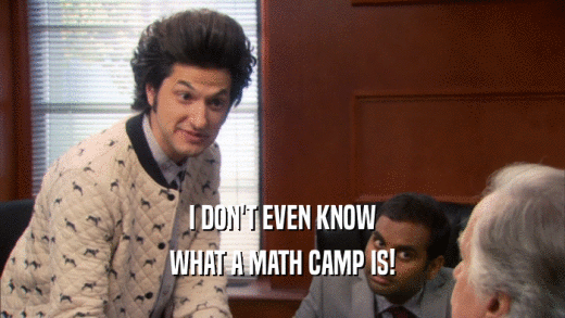 I DON'T EVEN KNOW WHAT A MATH CAMP IS! 