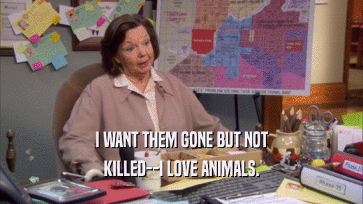 I WANT THEM GONE BUT NOT KILLED--I LOVE ANIMALS. 