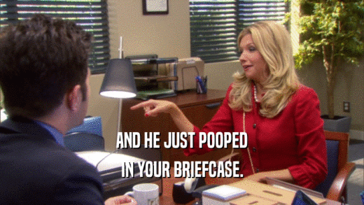 AND HE JUST POOPED IN YOUR BRIEFCASE. 