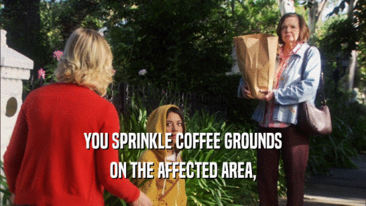 YOU SPRINKLE COFFEE GROUNDS ON THE AFFECTED AREA, 