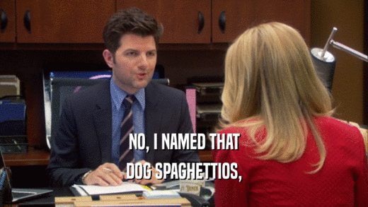 NO, I NAMED THAT DOG SPAGHETTIOS, 