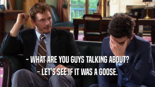- WHAT ARE YOU GUYS TALKING ABOUT? - LET'S SEE IF IT WAS A GOOSE. 