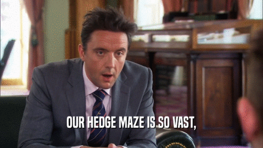 OUR HEDGE MAZE IS SO VAST,  