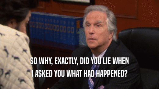 SO WHY, EXACTLY, DID YOU LIE WHEN I ASKED YOU WHAT HAD HAPPENED? 