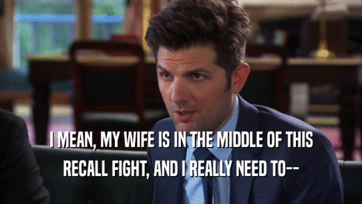 I MEAN, MY WIFE IS IN THE MIDDLE OF THIS RECALL FIGHT, AND I REALLY NEED TO-- 