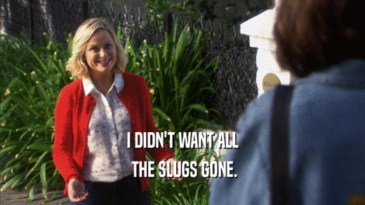 I DIDN'T WANT ALL  THE SLUGS GONE. 