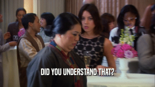 DID YOU UNDERSTAND THAT?  