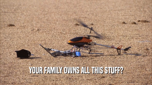 YOUR FAMILY OWNS ALL THIS STUFF?  