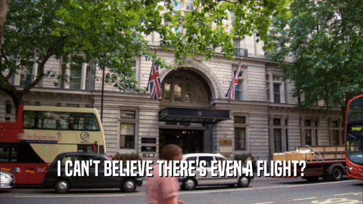I CAN'T BELIEVE THERE'S EVEN A FLIGHT?  