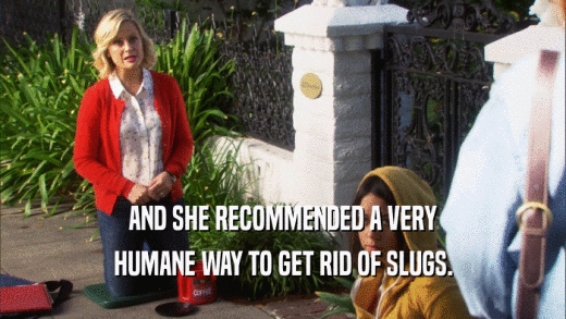 AND SHE RECOMMENDED A VERY HUMANE WAY TO GET RID OF SLUGS. 