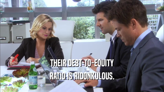 THEIR DEBT-TO-EQUITY RATIO IS RIDONKULOUS. 