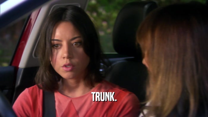 TRUNK.  