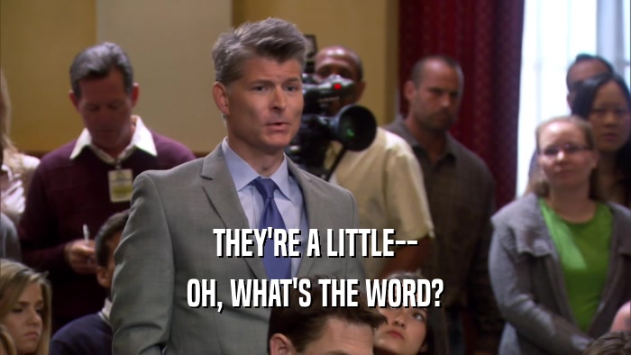 THEY'RE A LITTLE-- OH, WHAT'S THE WORD? 