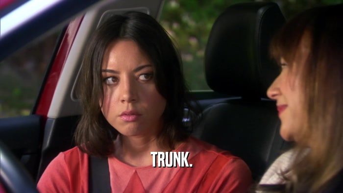 TRUNK.  