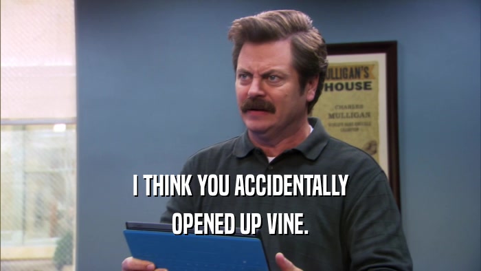I THINK YOU ACCIDENTALLY OPENED UP VINE. 