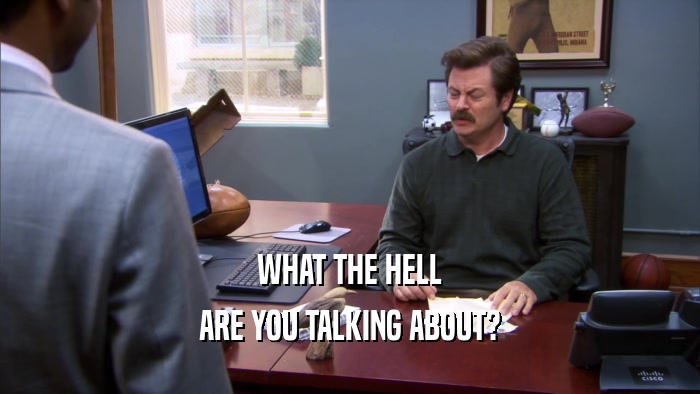 WHAT THE HELL ARE YOU TALKING ABOUT? 