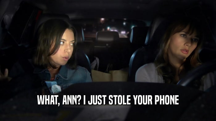 WHAT, ANN? I JUST STOLE YOUR PHONE  