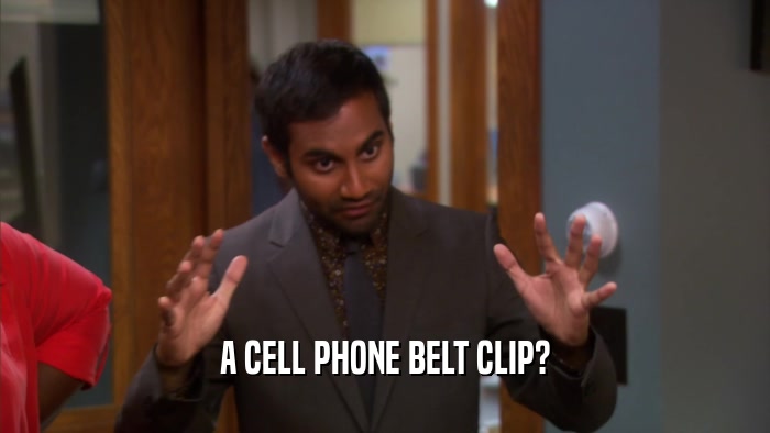 A CELL PHONE BELT CLIP?  