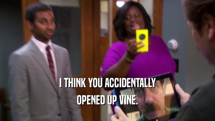 I THINK YOU ACCIDENTALLY OPENED UP VINE. 