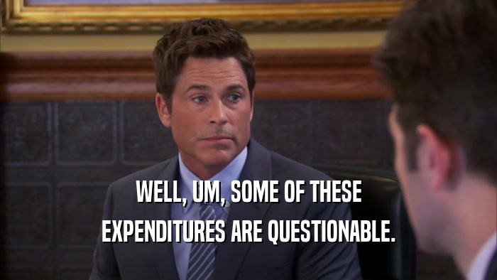 WELL, UM, SOME OF THESE EXPENDITURES ARE QUESTIONABLE. 