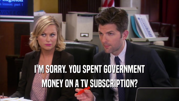 I'M SORRY. YOU SPENT GOVERNMENT MONEY ON A TV SUBSCRIPTION? 