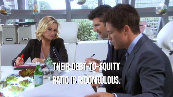 THEIR DEBT-TO-EQUITY RATIO IS RIDONKULOUS. 