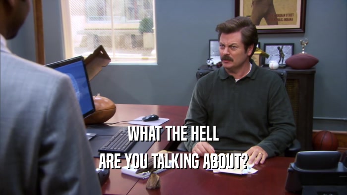 WHAT THE HELL ARE YOU TALKING ABOUT? 