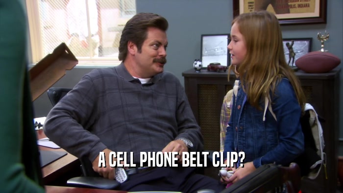 A CELL PHONE BELT CLIP?  