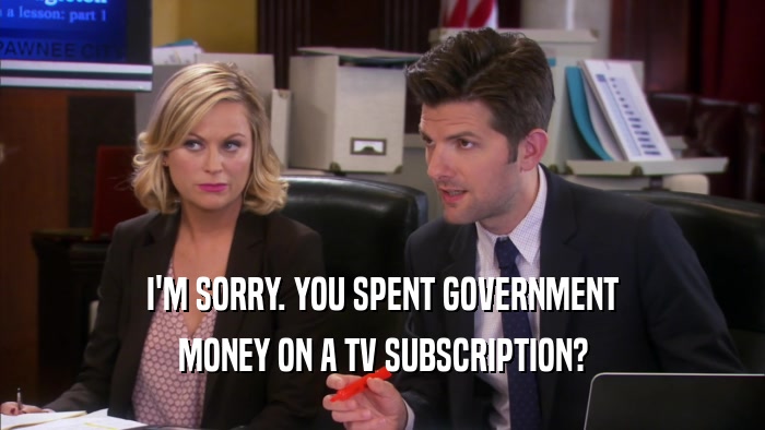 I'M SORRY. YOU SPENT GOVERNMENT MONEY ON A TV SUBSCRIPTION? 