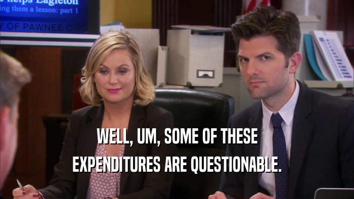 WELL, UM, SOME OF THESE EXPENDITURES ARE QUESTIONABLE. 