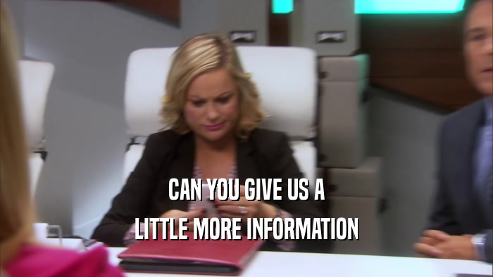 CAN YOU GIVE US A LITTLE MORE INFORMATION 