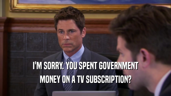 I'M SORRY. YOU SPENT GOVERNMENT MONEY ON A TV SUBSCRIPTION? 