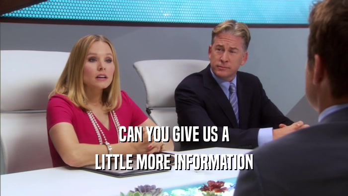 CAN YOU GIVE US A LITTLE MORE INFORMATION 