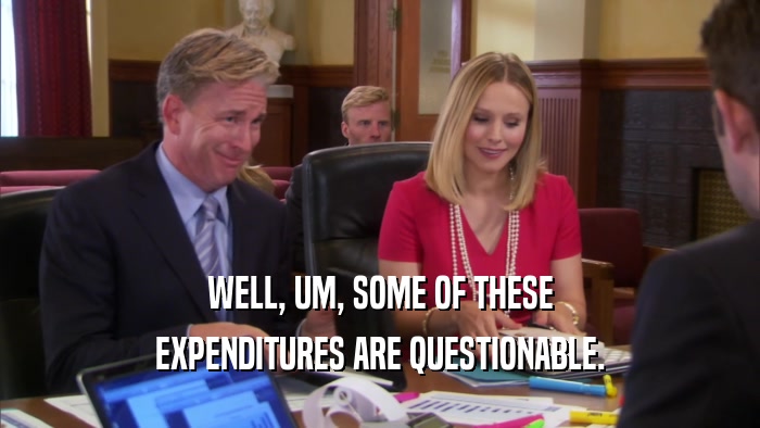 WELL, UM, SOME OF THESE EXPENDITURES ARE QUESTIONABLE. 