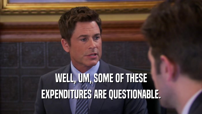 WELL, UM, SOME OF THESE EXPENDITURES ARE QUESTIONABLE. 
