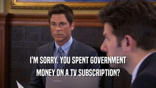 I'M SORRY. YOU SPENT GOVERNMENT MONEY ON A TV SUBSCRIPTION? 