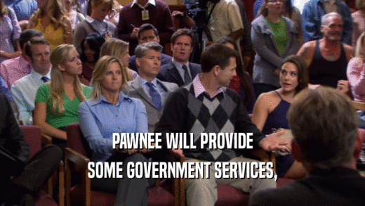 PAWNEE WILL PROVIDE SOME GOVERNMENT SERVICES, 