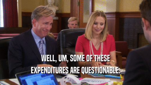 WELL, UM, SOME OF THESE EXPENDITURES ARE QUESTIONABLE. 