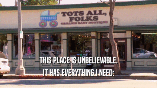 THIS PLACE IS UNBELIEVABLE. IT HAS EVERYTHING I NEED: 