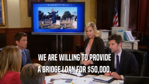 WE ARE WILLING TO PROVIDE A BRIDGE LOAN FOR $50,000. 